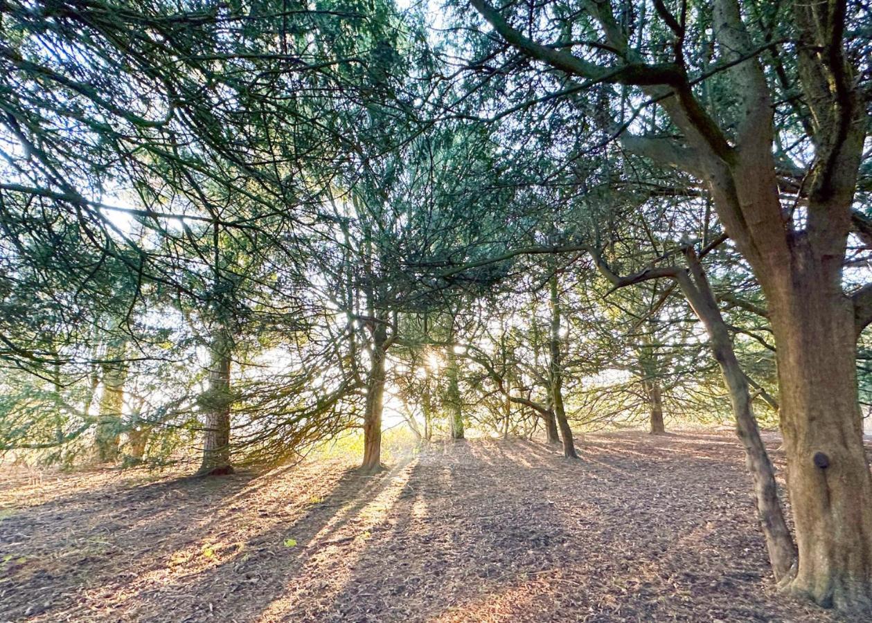 Sherwood Castle Holiday Forest Edwinstowe Exterior photo