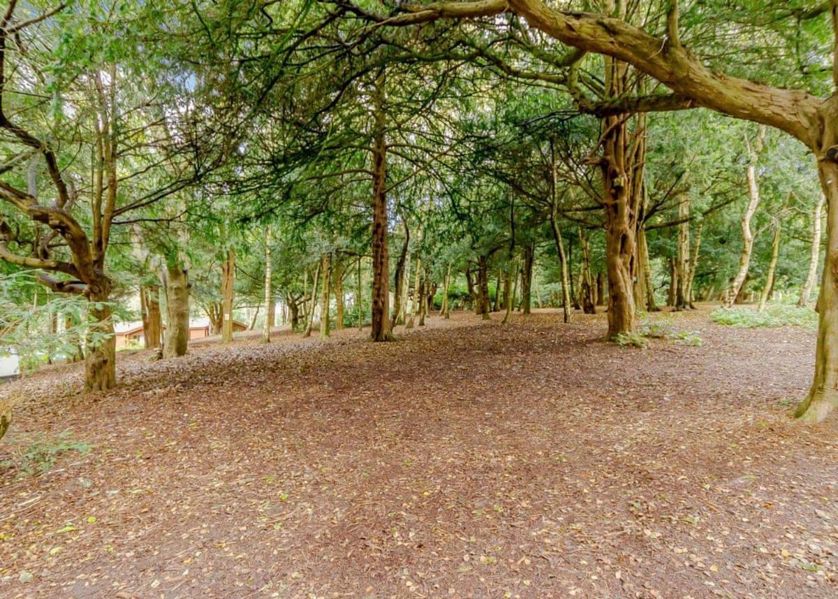 Sherwood Castle Holiday Forest Edwinstowe Exterior photo